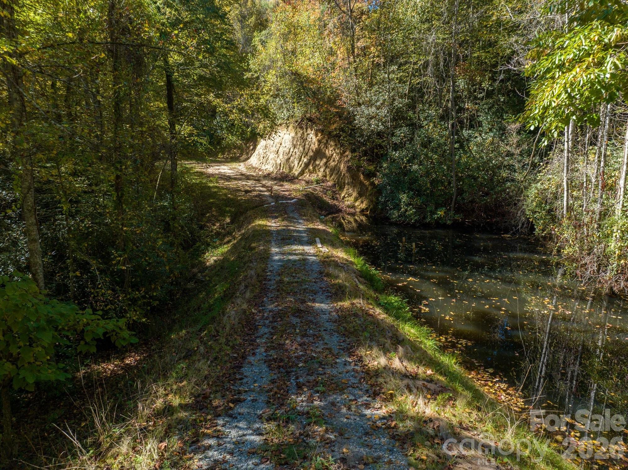0 Big Hungry Road Flat Rock, NC 28731 - Photo 28 of 40 a view of a yard