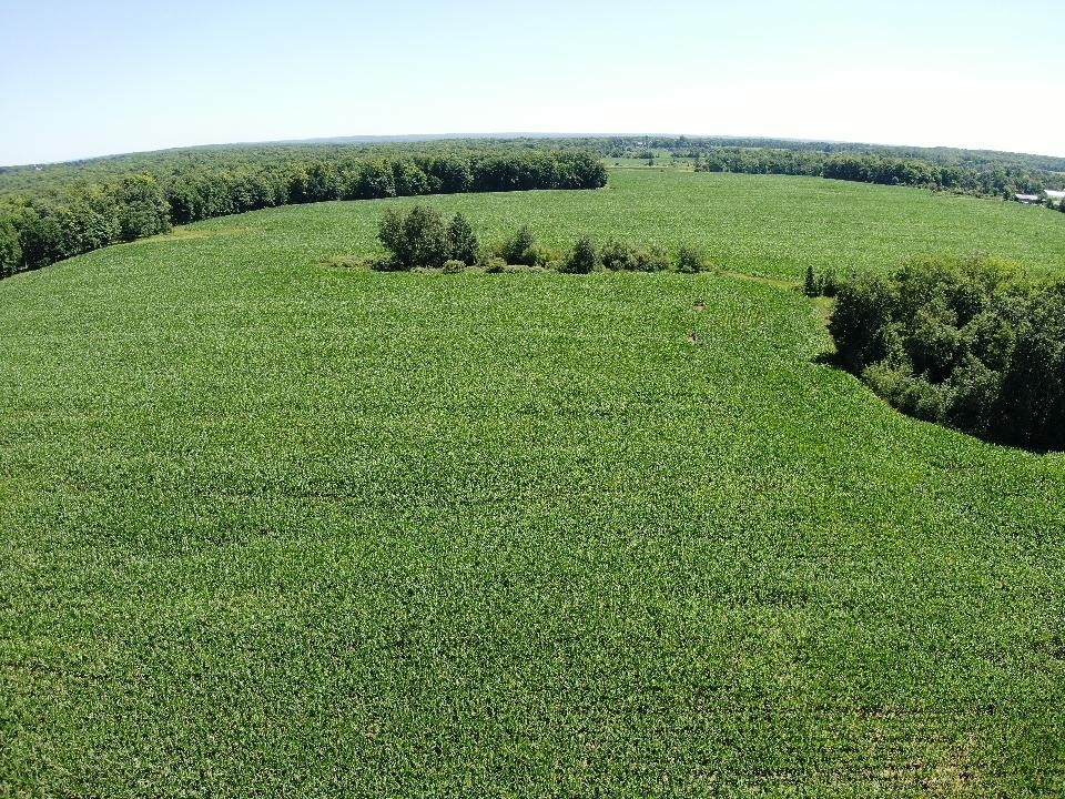 X 110th Street Frederic, WI 54837 - Photo 4 of 11