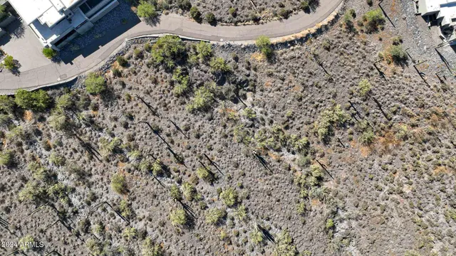 a view of a dry yard with lots of bushes