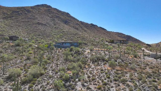 a view of a dry yard with mountains in the background
