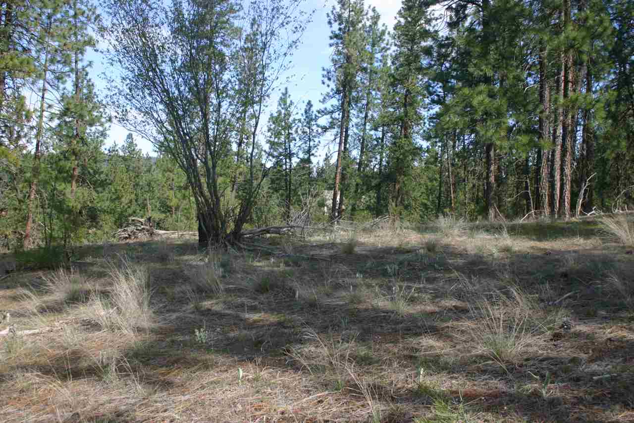 Nine North South Bank Road Nine Mile Falls, WA 99026 - Photo 8 of 16