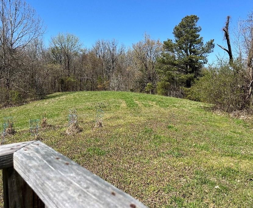 121 Shiloh Road Covington, TN 38019 - Photo 1 of 12 Gallery Image 1