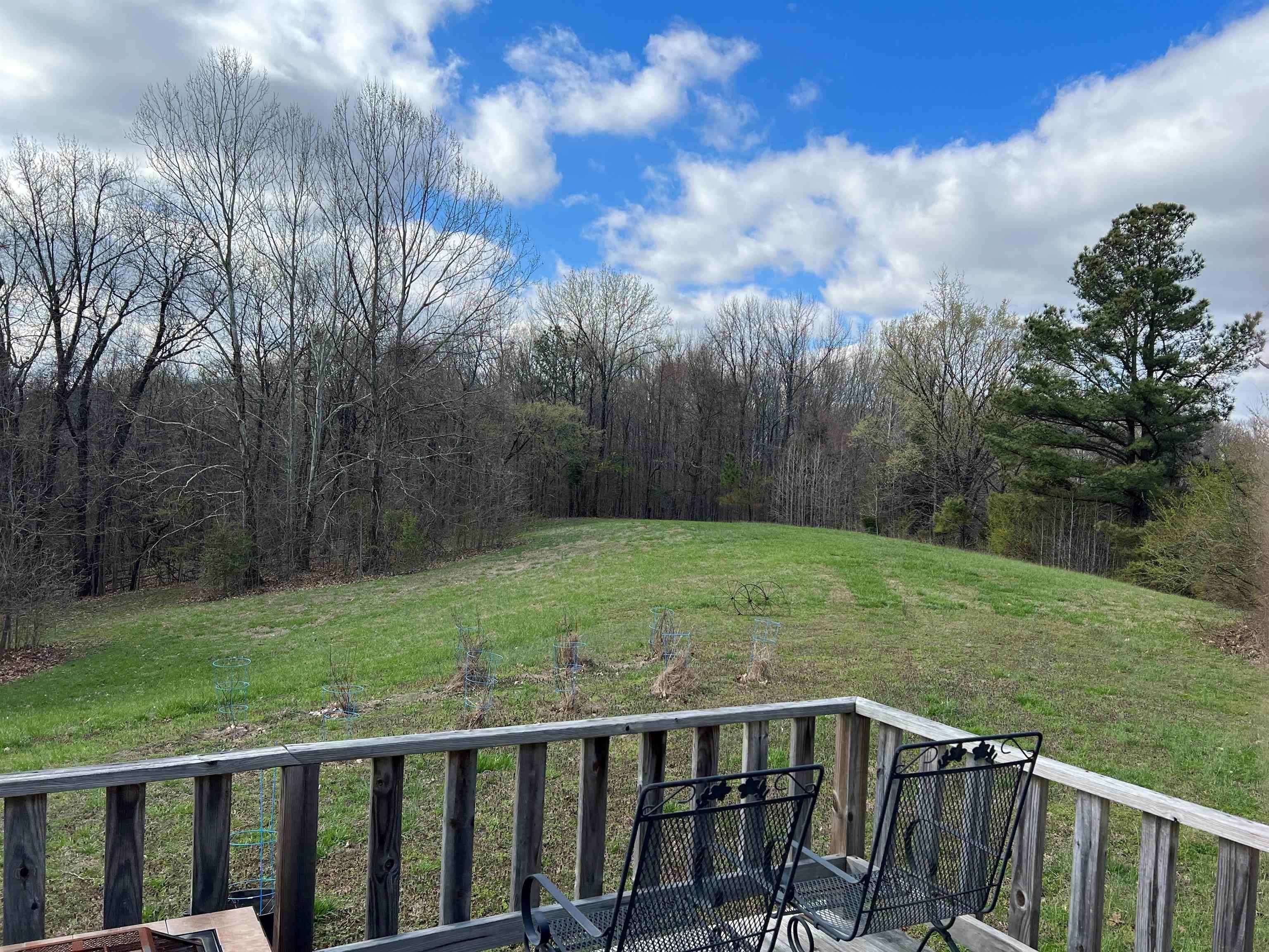 121 Shiloh Road Covington, TN 38019 - Photo 2 of 12 Gallery Image 2