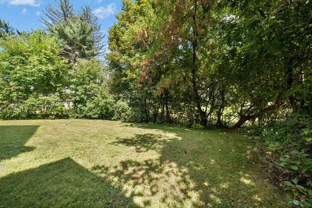 a view of a trees with a yard