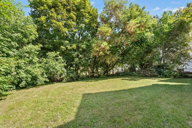a view of a field with an trees