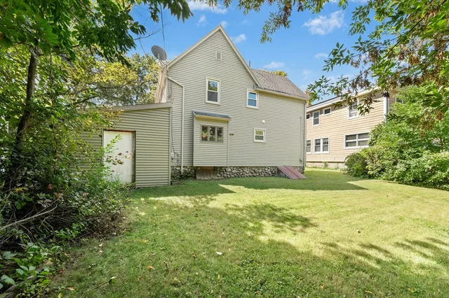 a view of a backyard with plants and large tree