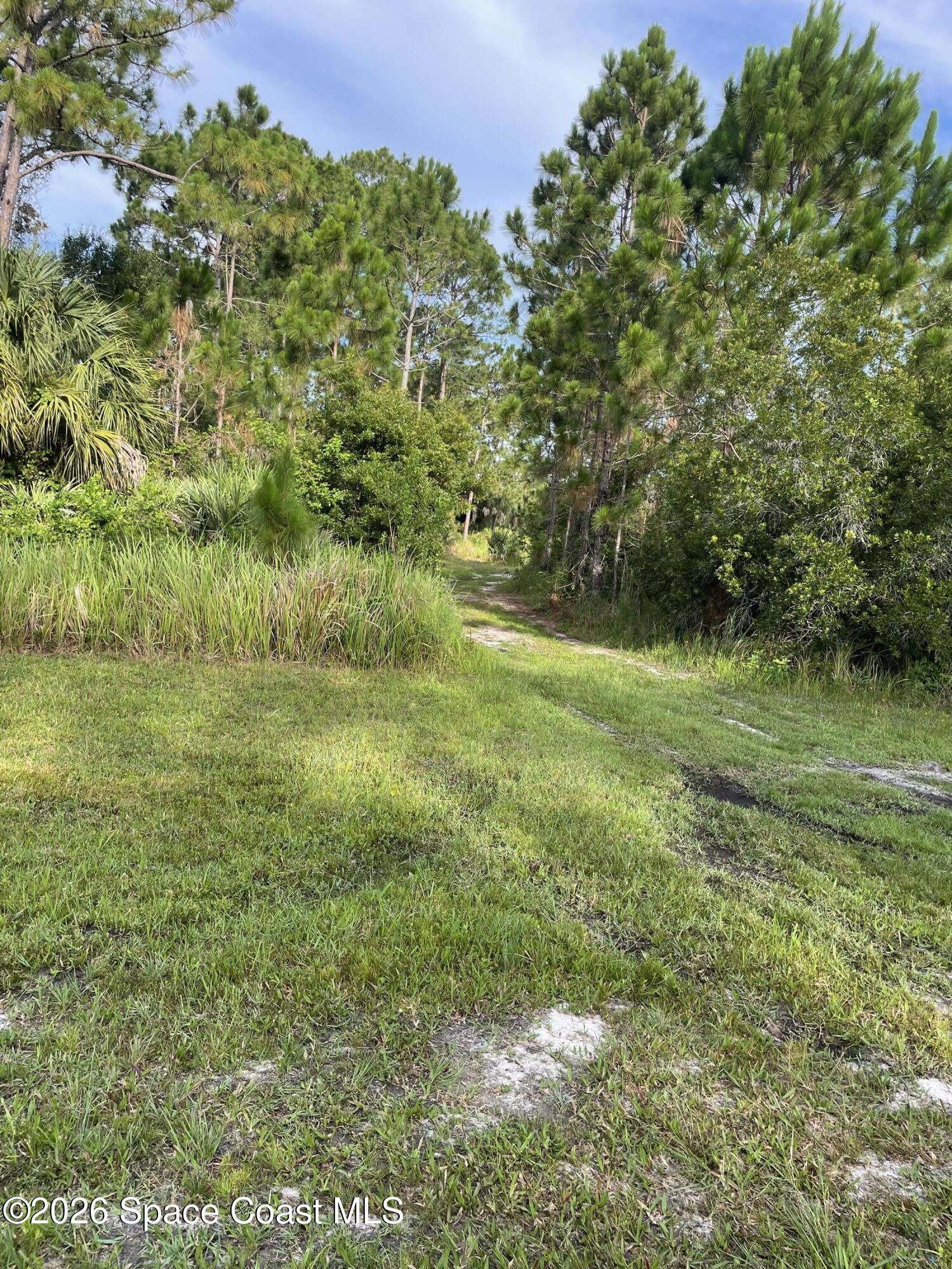 0 Unknown Boulevard Palm Bay, FL 32905 - Photo 5 of 8 a view of a green field with lots of bushes