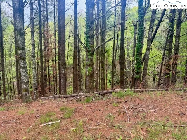 a view of outdoor space with deck and trees