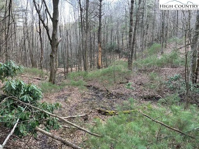 a view of outdoor space and green space