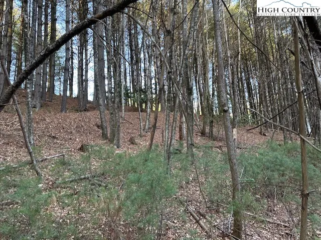 a view of outdoor space and garden