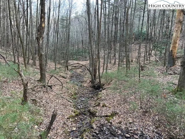 a view of backyard with green space