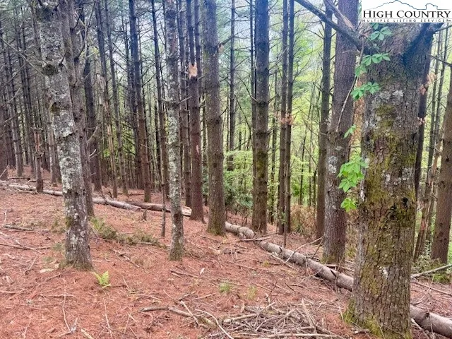 a view of outdoor space with trees