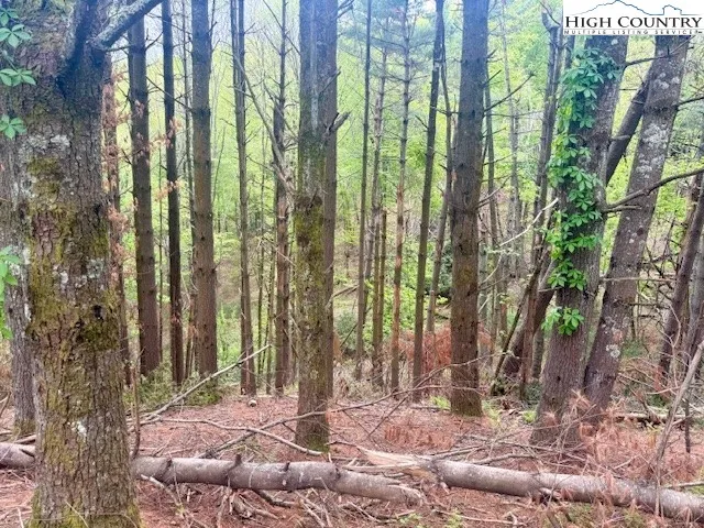 a view of a backyard with potted plants