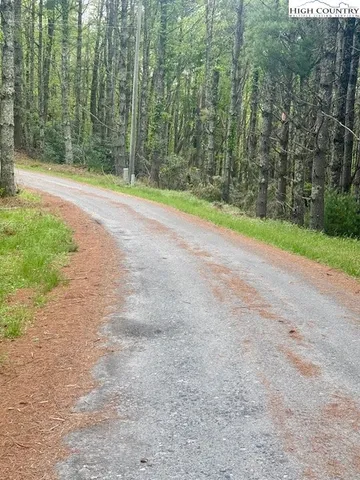 a view of a backyard with large trees