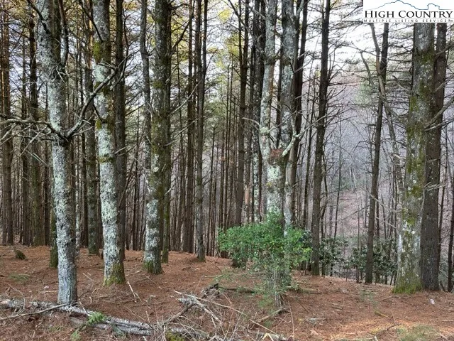 a backyard of a house with lots of trees