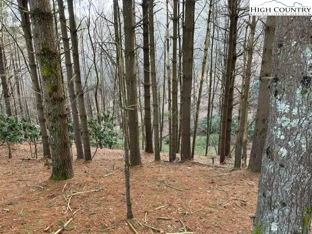 a view of outdoor space with deck