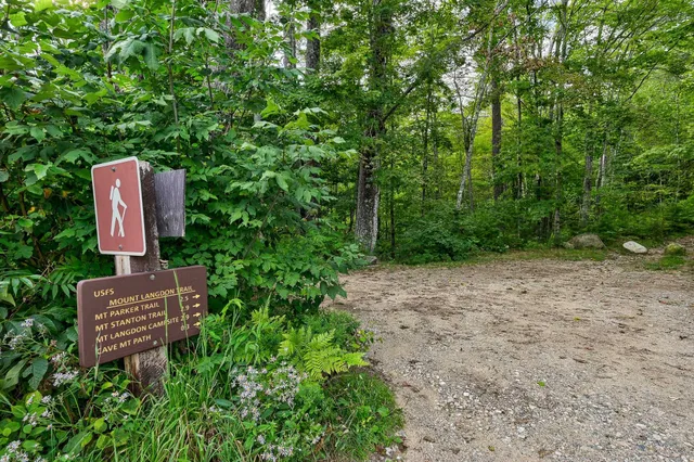 $319,999 | F4 Cave Mountain Road, Bartlett, NH 03812