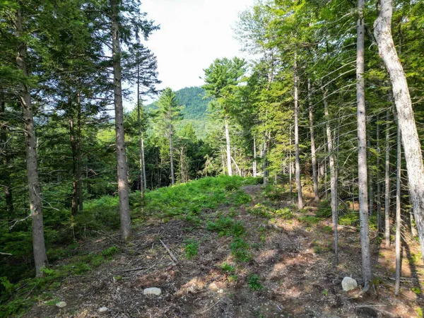 $319,999 | F4 Cave Mountain Road, Glen, NH 03838