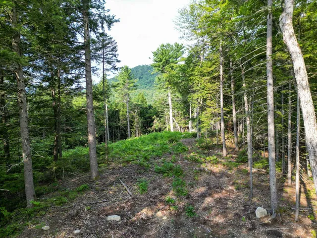$319,999 | F4 Cave Mountain Road, Bartlett, NH 03812