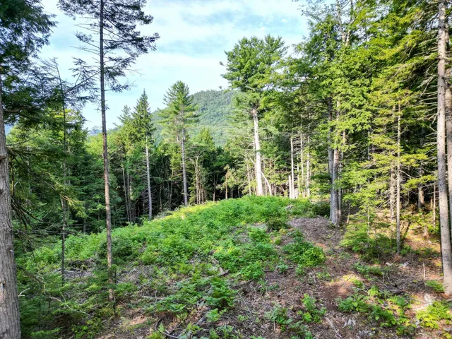 $319,999 | F4 Cave Mountain Road, Bartlett, NH 03812