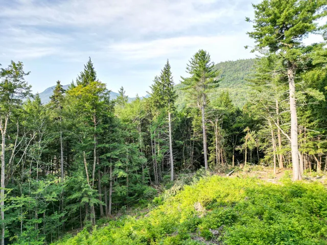 $319,999 | F4 Cave Mountain Road, Bartlett, NH 03812