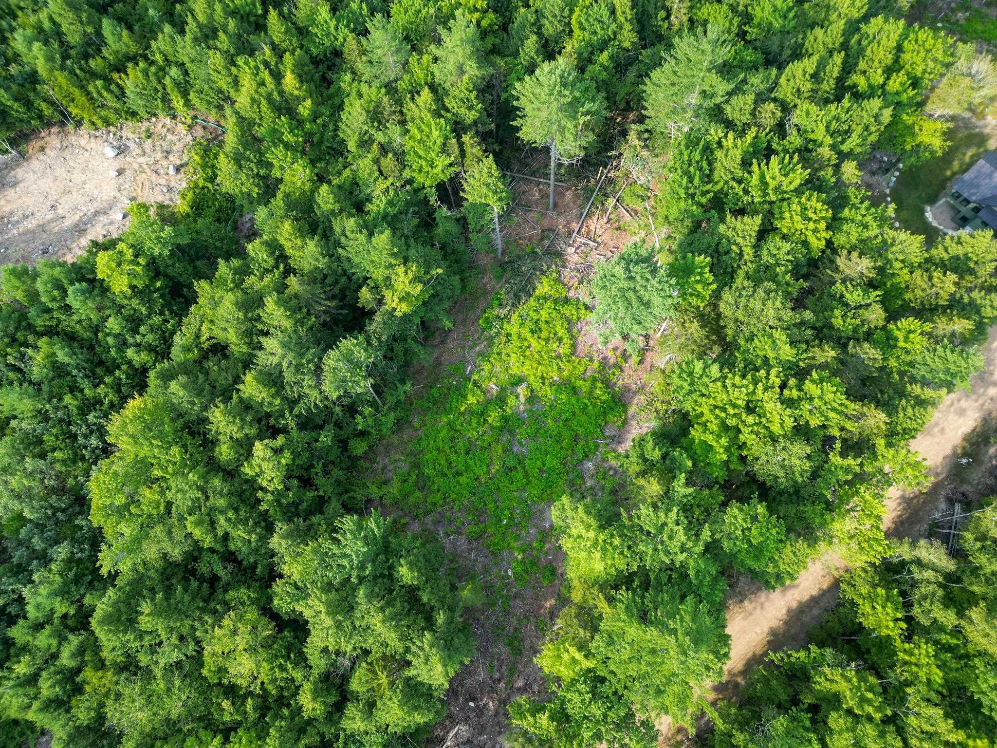 F4 Cave Mountain Road Bartlett, NH 03812 - Photo 10 of 28