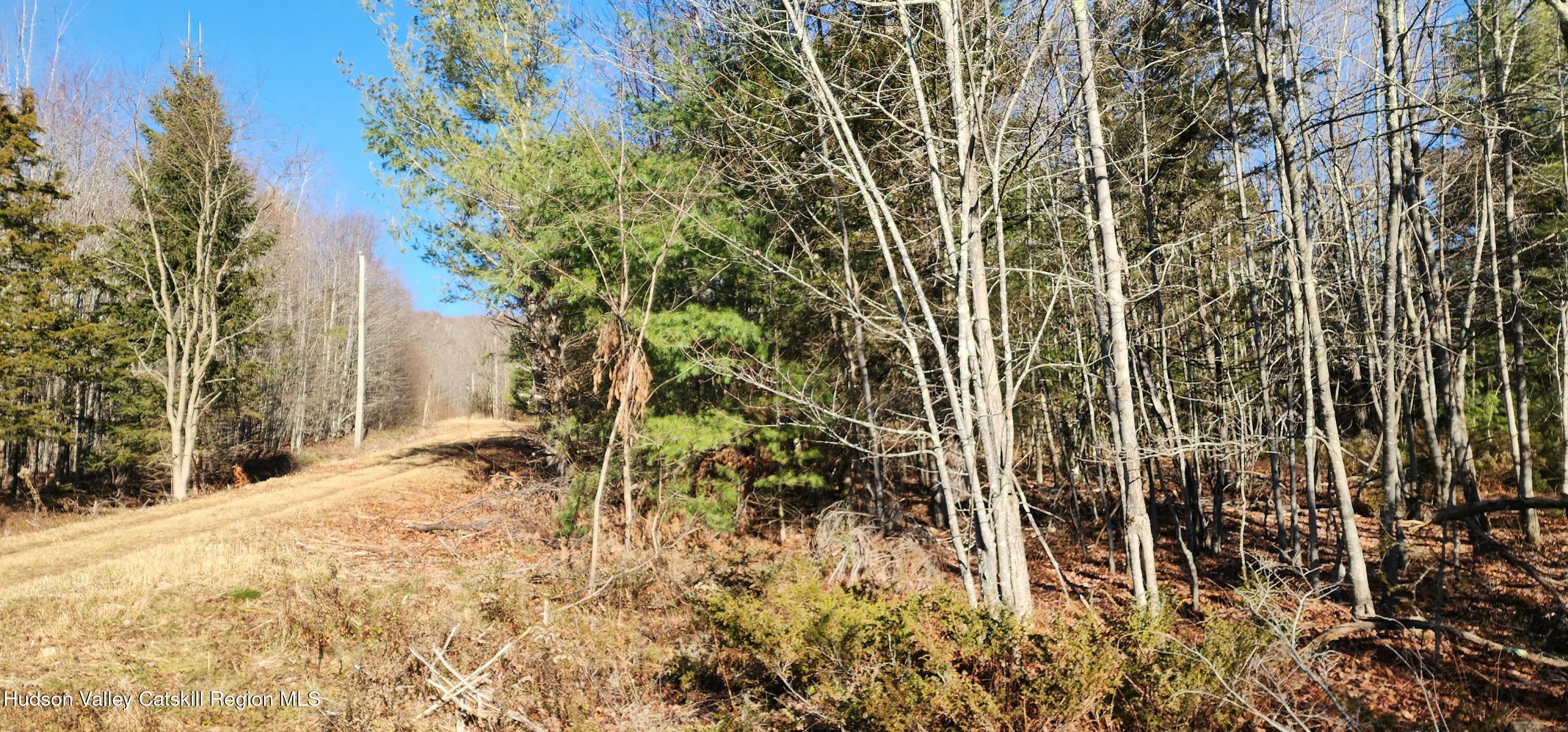 0 Bruce Cross Road Prattsville, NY 12468 - Photo 11 of 13 a backyard of a house with lots of green space