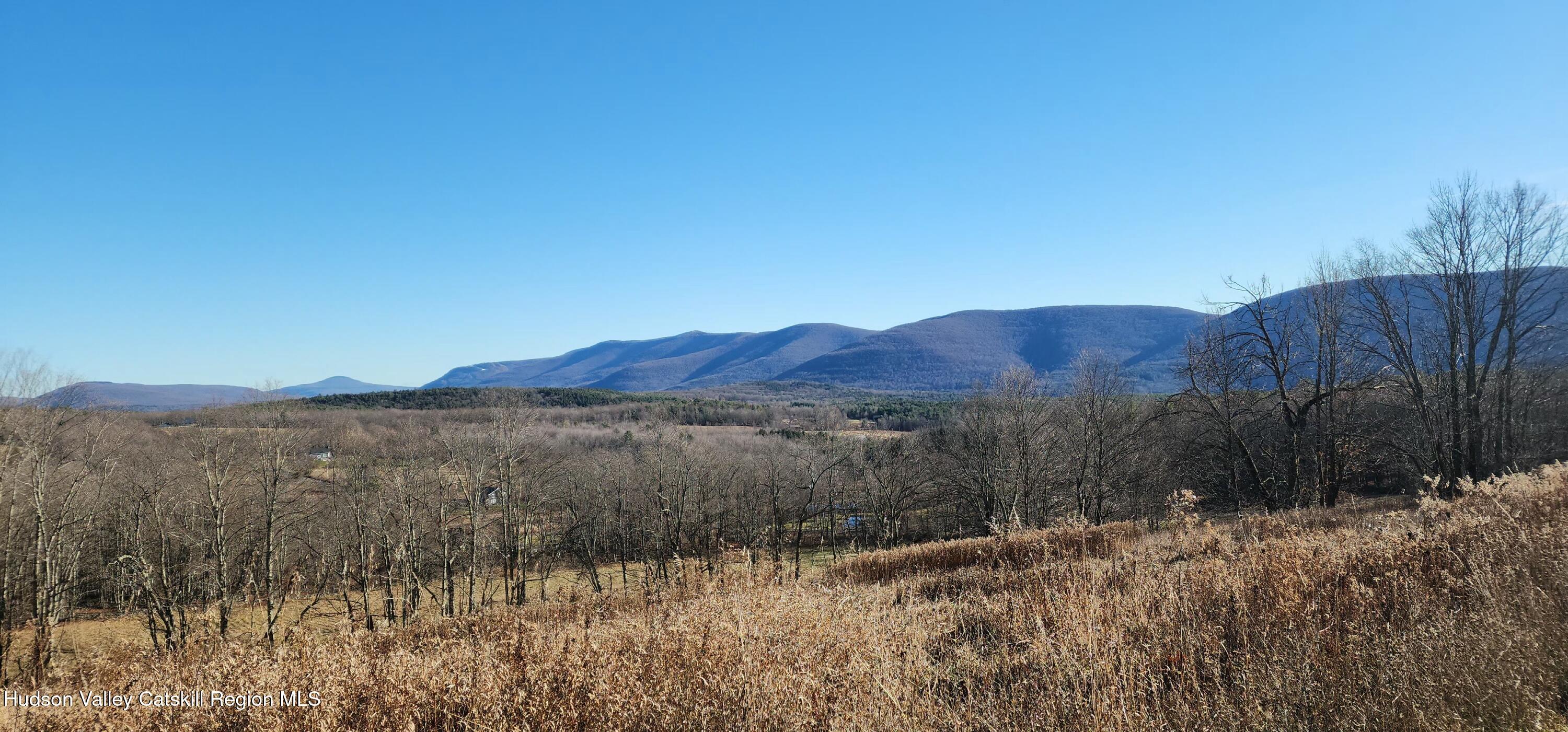 0 Bruce Cross Road Prattsville, NY 12468 - Photo 12 of 13 a view of a lake with mountains in the background