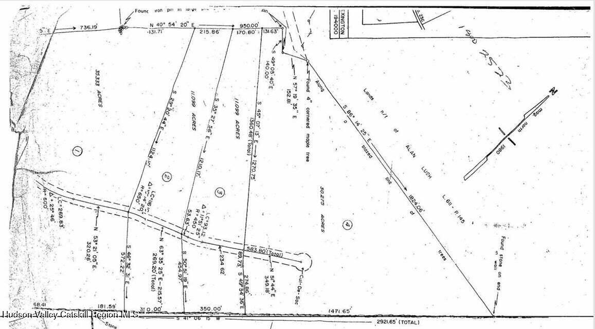 0 Bruce Cross Road Prattsville, NY 12468 - Photo 13 of 13 a black and white photo of a lake