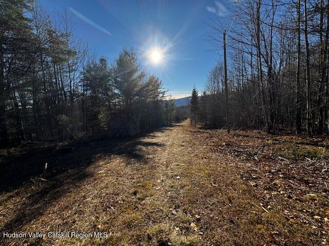 0 Bruce Cross Road Prattsville, NY 12468 - Photo 3 of 13 a view of a yard