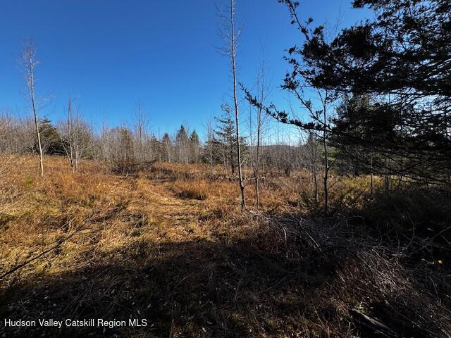 0 Bruce Cross Road Prattsville, NY 12468 - Photo 5 of 13 a view of a yard