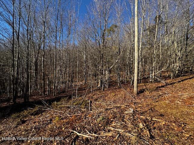 0 Bruce Cross Road Prattsville, NY 12468 - Photo 7 of 13 a view of a backyard