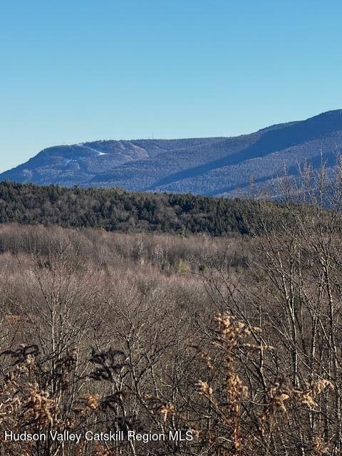 0 Bruce Cross Road Prattsville, NY 12468 - Photo 9 of 13 a view of mountain with outdoor space