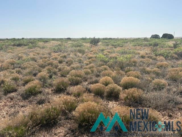 48 State Road 203 Fort Sumner, NM 88119 - Photo 17 of 17 Gallery Image 17