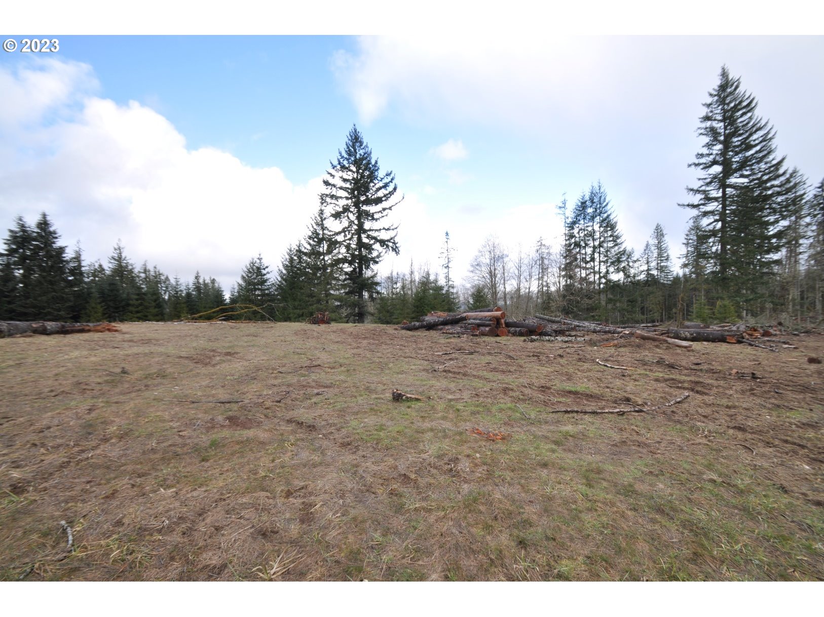 Hammond Rainier, OR 97048 - Photo 1 of 16 Gallery Image 1