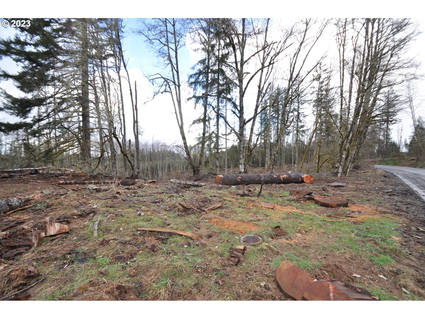 Hammond Rainier, OR 97048 - Photo 15 of 16 Gallery Image 15