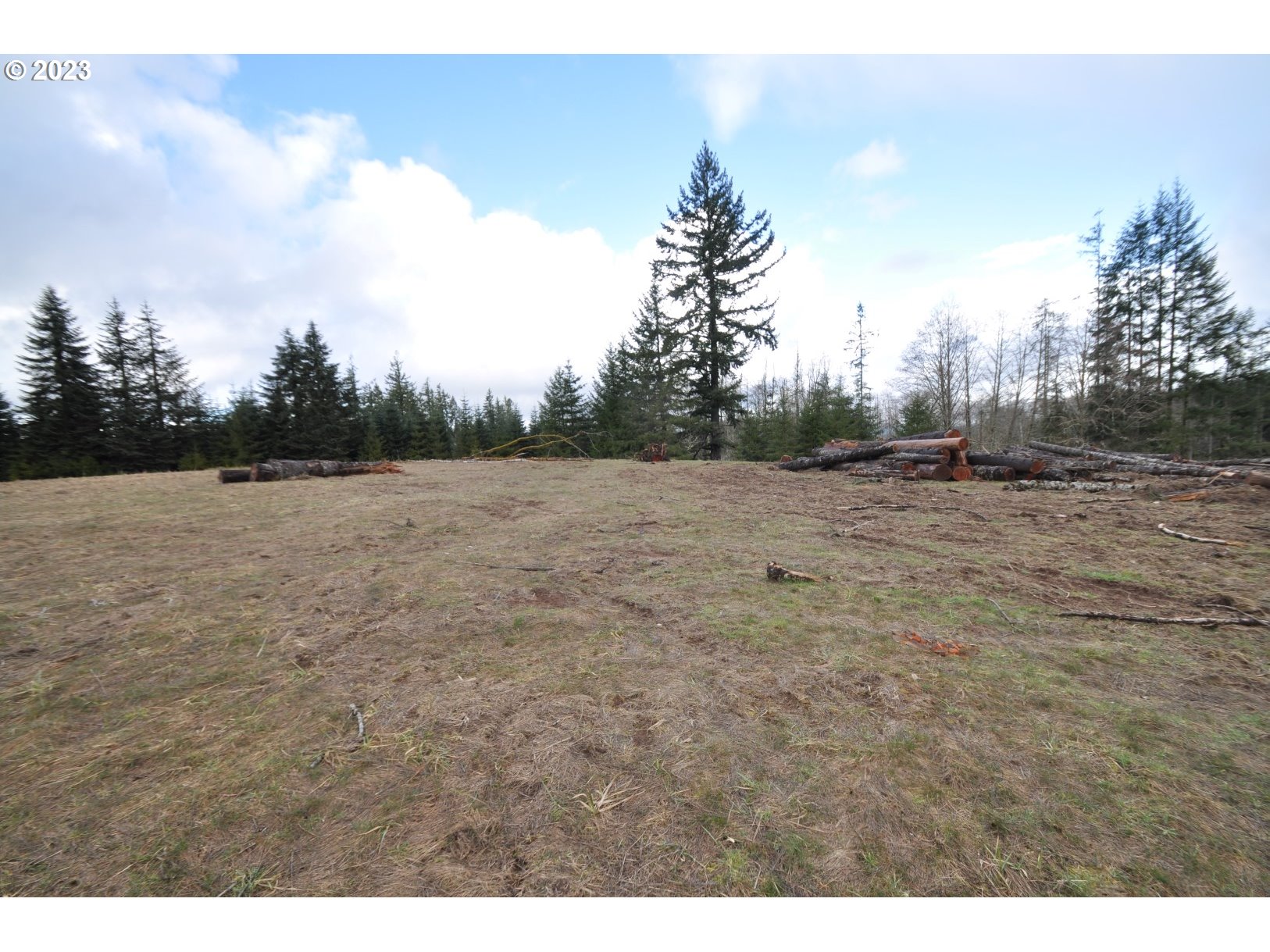 Hammond Rainier, OR 97048 - Photo 2 of 16 Gallery Image 2