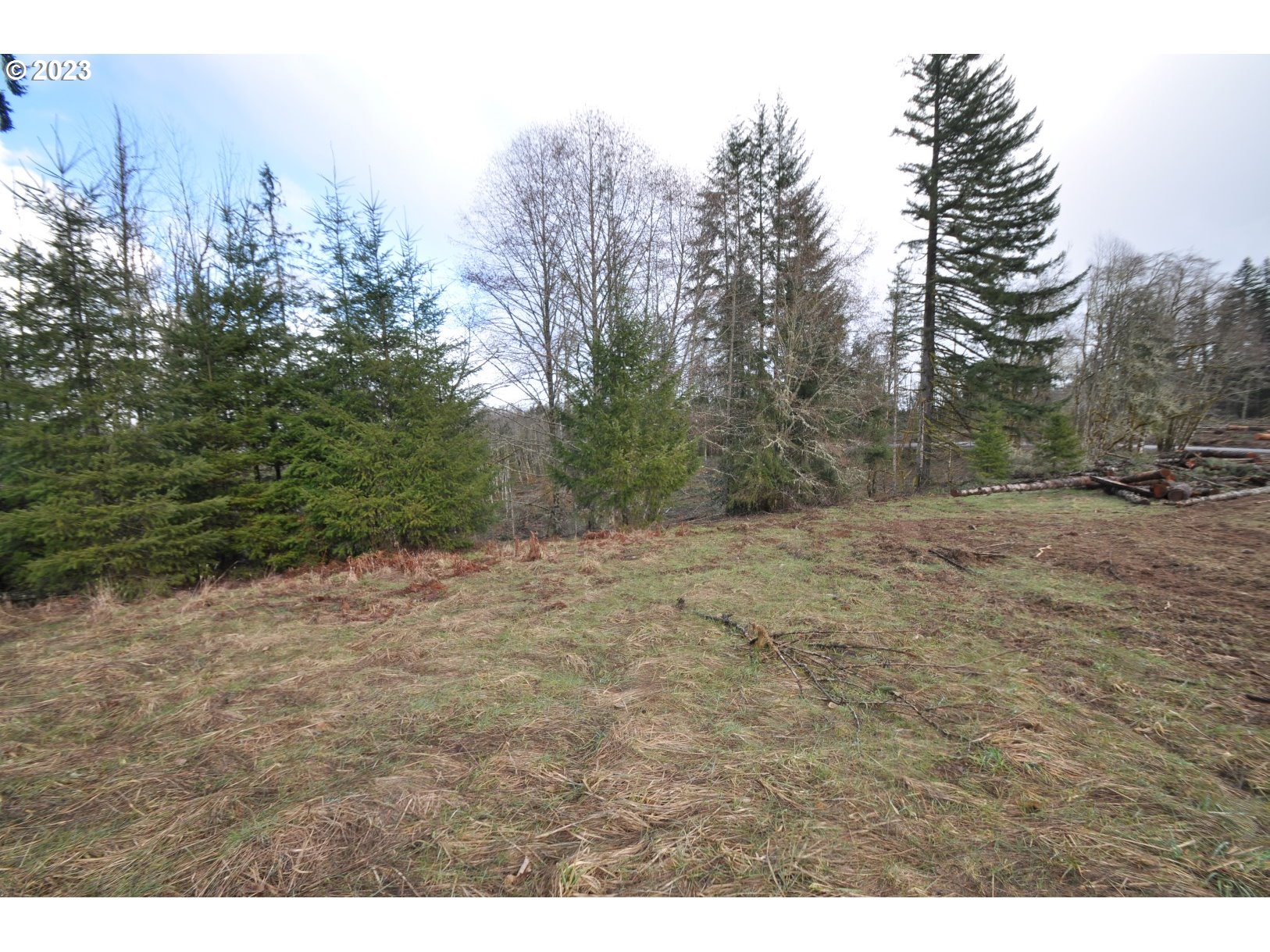 Hammond Rainier, OR 97048 - Photo 4 of 16 Gallery Image 4