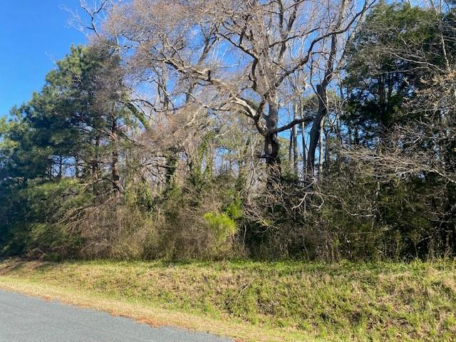 Lot 5 Hideaway Cove Road, Unit 5 Exmore, VA 23350 - Photo 1 of 7