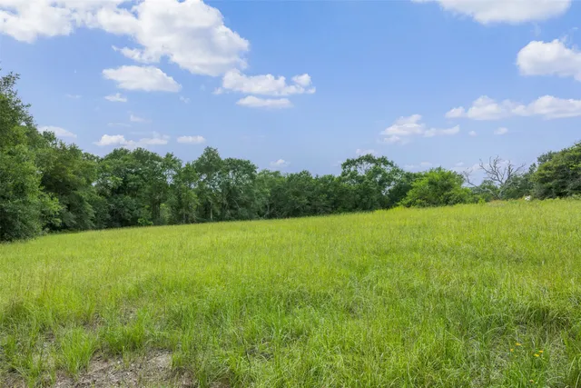 a view of a field of grass and trees