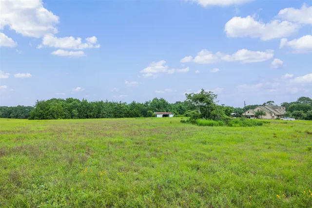 a view of a field of grass and trees