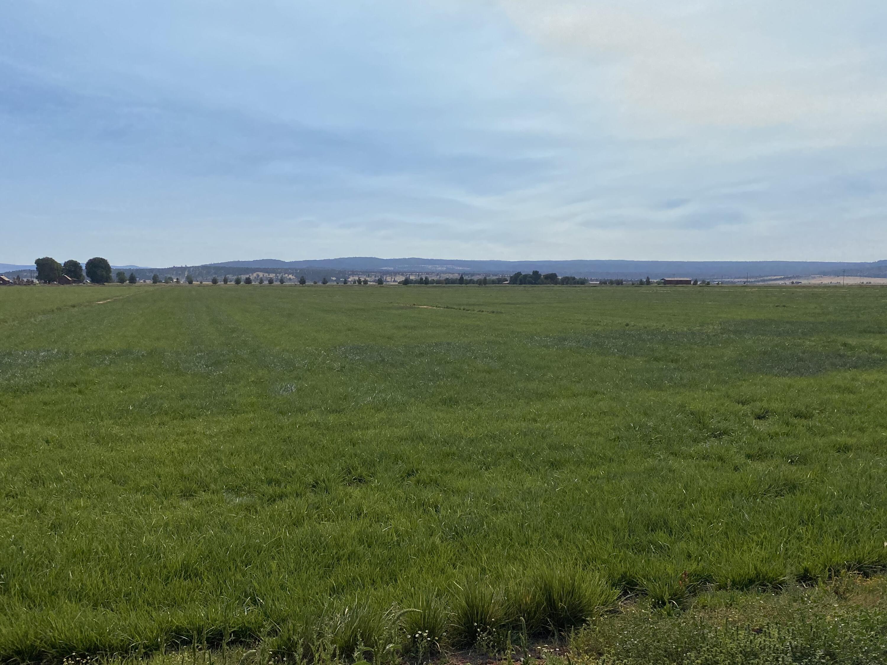 553-185 Punkin Center Road Bieber, CA 96009 - Photo 16 of 57 a view of a field with an ocean