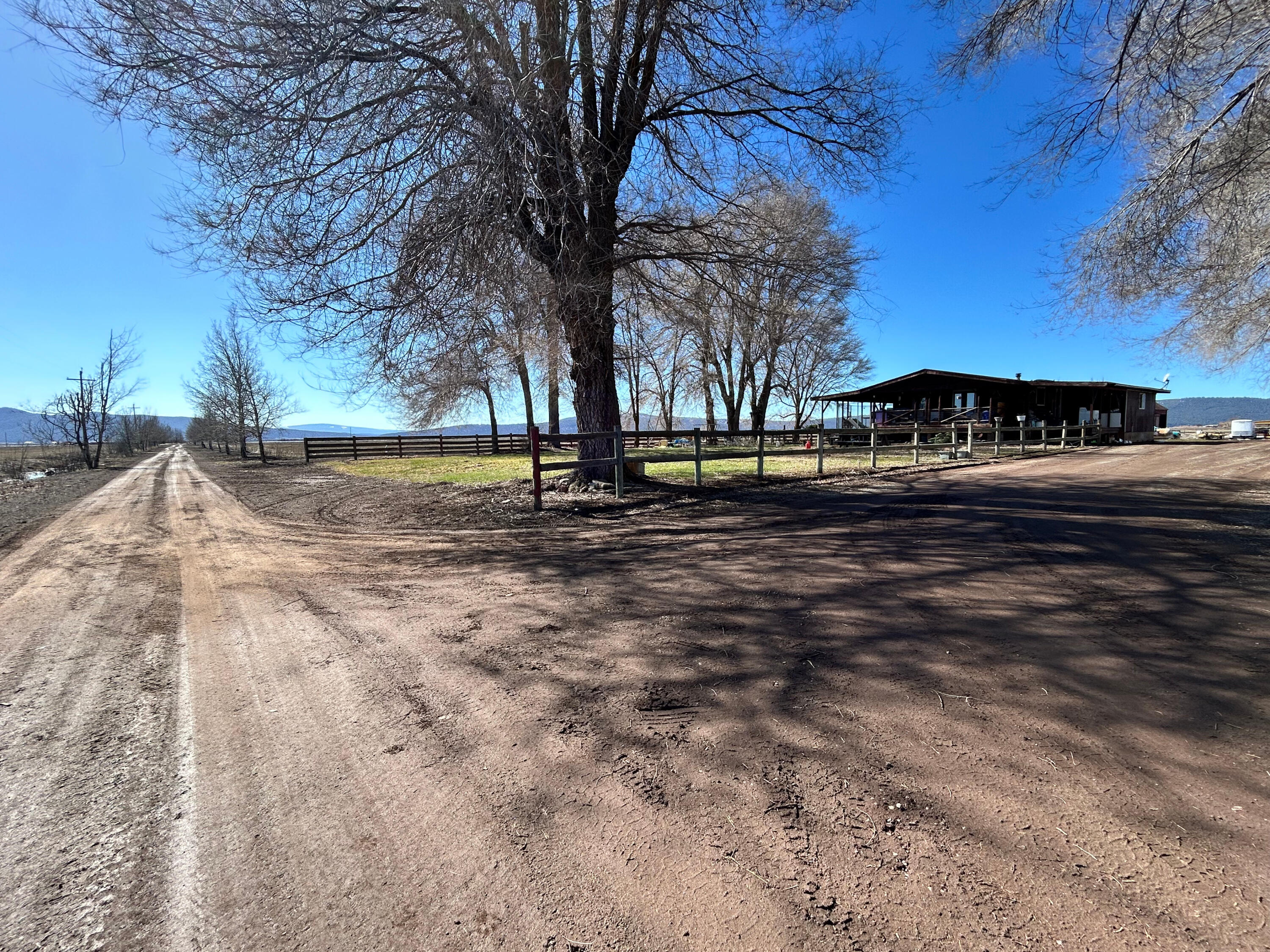 553-185 Punkin Center Road Bieber, CA 96009 - Photo 28 of 57 a view of dirt yard with large trees