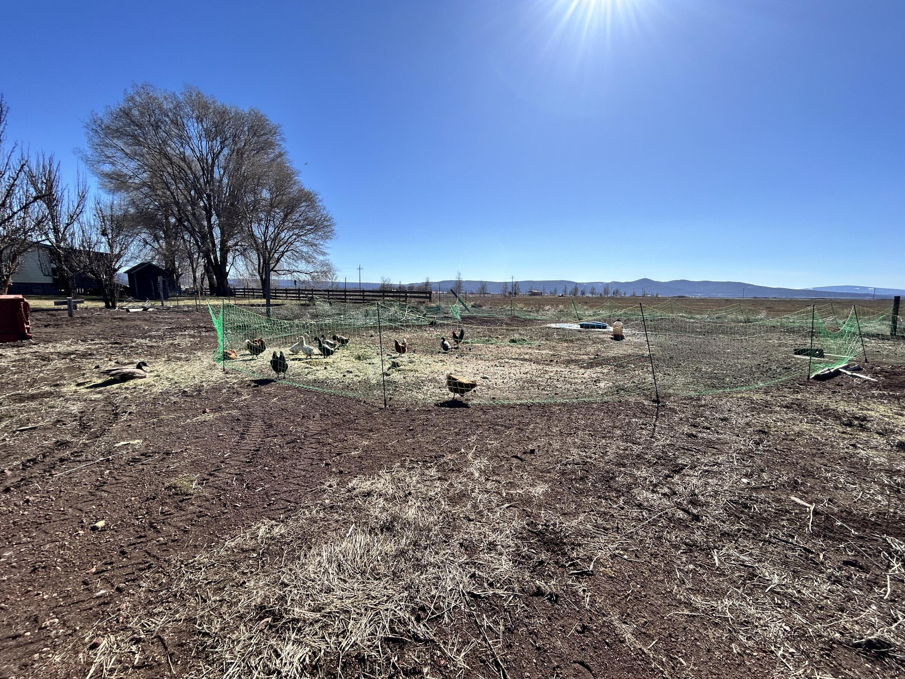 553-185 Punkin Center Road Bieber, CA 96009 - Photo 34 of 57 a view of a yard with wooden fence