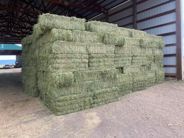 a view of ocean view with beach