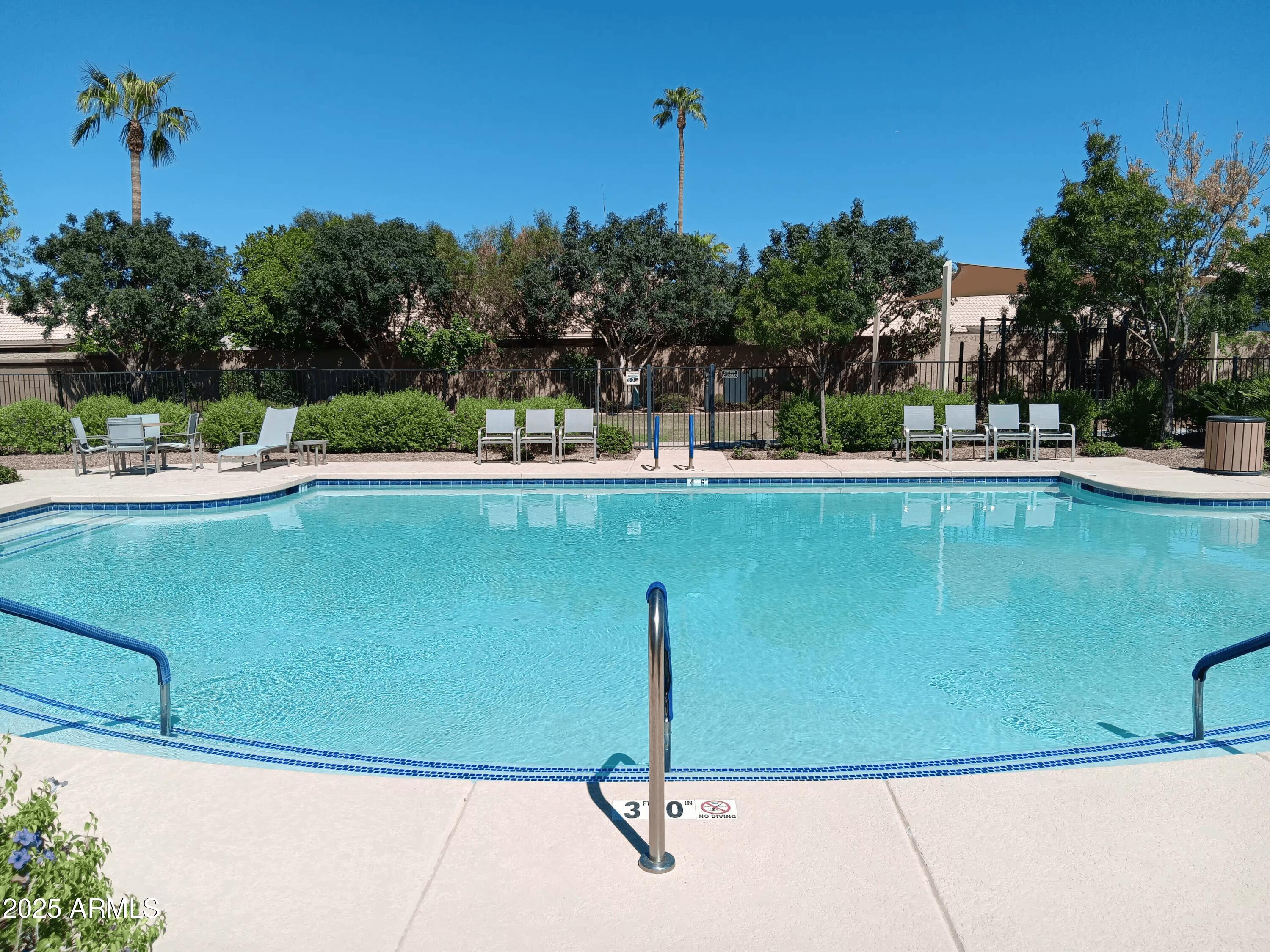 1132 South Amulet Mesa, AZ 85208 - Photo 33 of 37 a view of a swimming pool with a yard and palm trees