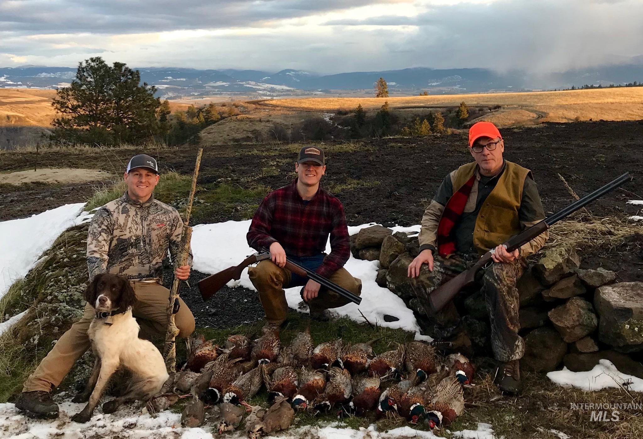 105 Scotlyn Rnch Road Kamiah, ID 83536 - Photo 12 of 27