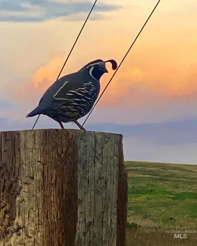 $3,995,000 | 105 Scotlyn Rnch Road, Kamiah, ID 83536