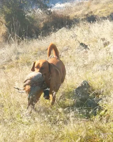 $3,995,000 | 105 Scotlyn Rnch Road, Kamiah, ID 83536