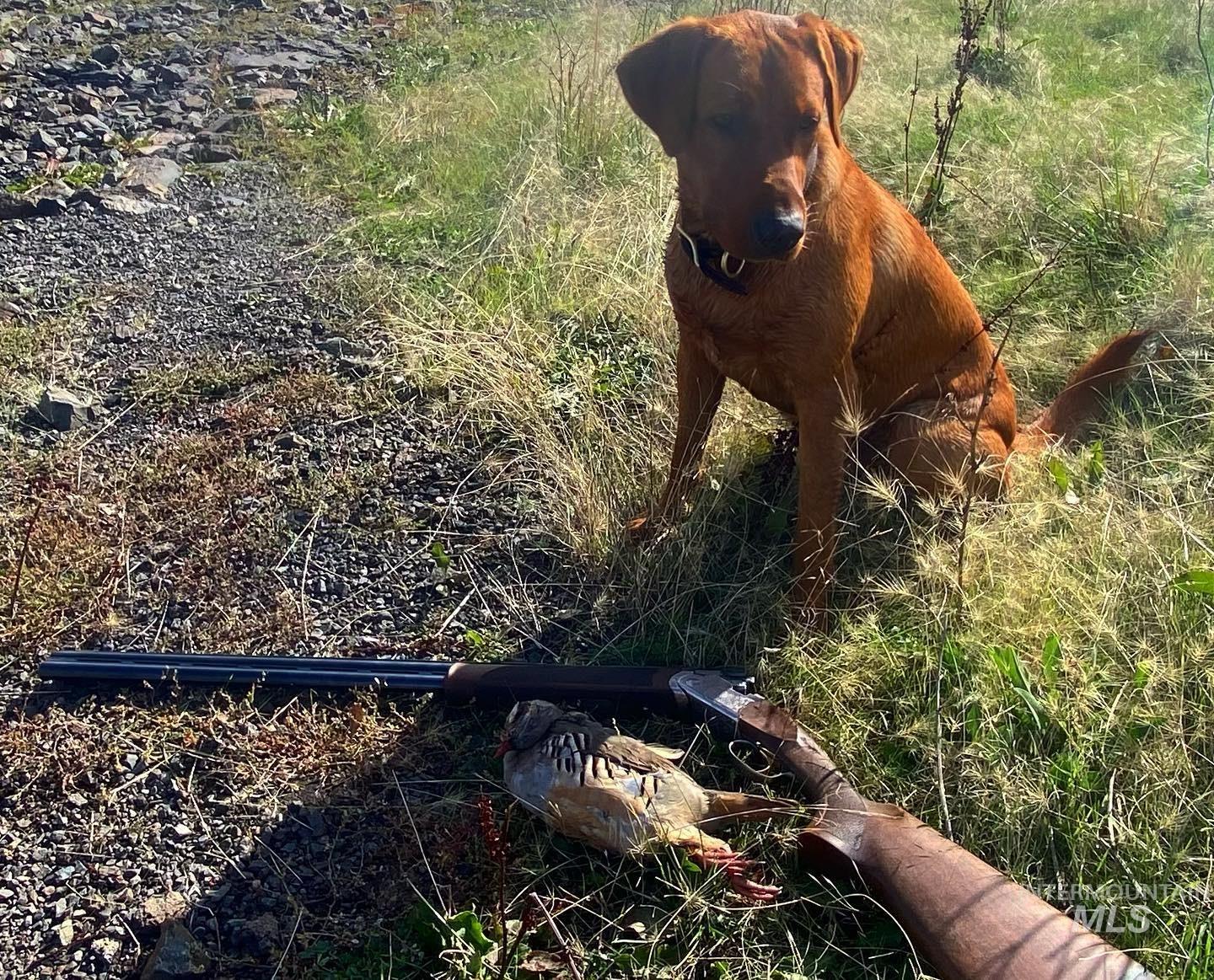 105 Scotlyn Rnch Road Kamiah, ID 83536 - Photo 17 of 27